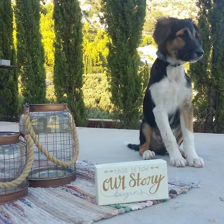 The Z Point 3* 파르가