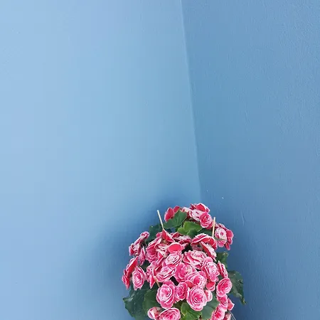 The Z Point 3* Parga