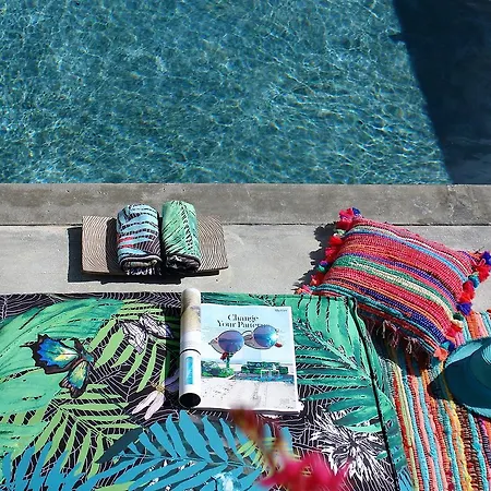 The Z Point 帕尔加