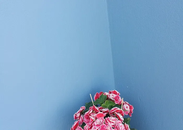 The Z Point 3* Parga